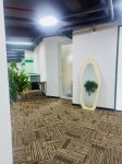 Cho thuê cây xanh văn phòng Công ty Ying Ying tại Phường Khánh Hội TP.HCM