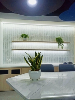 Bí Quyết Chọn Cây Xanh Thuê Theo Mệnh: Hợp Mệnh – Tăng Lộc