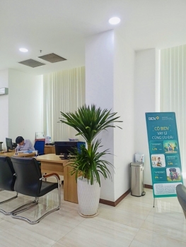 Cho Thuê Cây Xanh Văn Phòng Ngân Hàng BIDV Bình Chánh