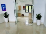 Cho Thuê Cây Xanh Văn Phòng Tại Ngân Hàng MB Phú Xuân Quận 7 – Nâng Tầm Không Gian Làm Việc Chuyên Nghiệp