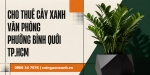 Cho Thuê Cây Xanh Văn Phòng Ở Phường Bình Quới TP.HCM