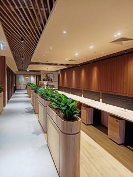 Vì Sao “Thuê Cây Xanh Văn Phòng” Là Từ Khóa Tăng Trưởng Mạnh Năm 2026?