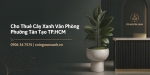 Cho Thuê Cây Xanh Văn Phòng Ở Phường Tân Tạo TP.HCM