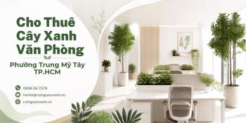 Cho thuê cây xanh văn phòng ở Phường Trung Mỹ Tây TP.HCM chuyên nghiệp, uy tín