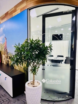 Vì Sao Nên Chọn Đơn Vị Cho Thuê Cây Xanh Có Kinh Nghiệm?