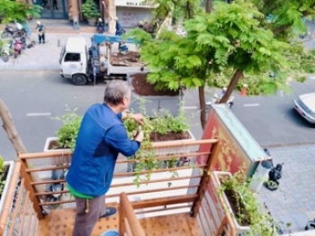Top 7 Cây Văn Phòng Dễ Chăm Sóc, Phù Hợp Để Thuê Dài Hạn