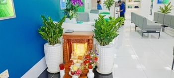 Cội Nguồn Xanh Cho Thuê Cây Xanh Tại VPBank Bắc Sài Gòn – Không Gian Làm Việc Xanh Và Chuyên Nghiệp