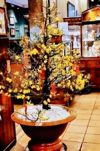 Dịch vụ cho thuê mai Tết 2026 của Cội Nguồn Xanh