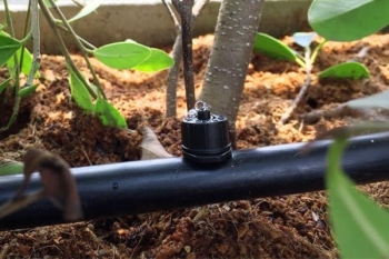 Bảo Dưỡng Hệ Thống Tưới Tự Động Trong Sân Vườn – Không Thể Bỏ Qua