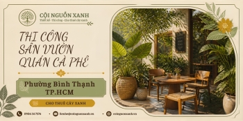 Thi công sân vườn quán cà phê ở Phường Bình Thạnh TP.HCM