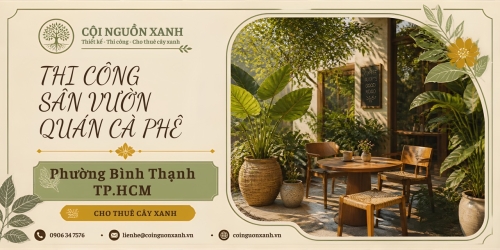 Thi công sân vườn quán cà phê ở Phường Bình Thạnh TP.HCM