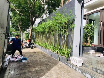 Nâng Tầm Biệt Thự Với Sân Vườn Thi Công Chuyên Nghiệp tại TP.HCM