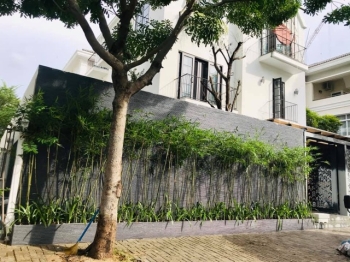 Chăm Sóc Cây Xanh Trong Mùa Hè