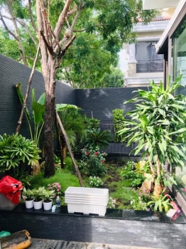 Tiểu Cảnh Sân Vườn Phong Thủy – Bí Quyết Thu Hút Tài Lộc Và May Mắn