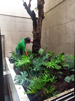 Sự Khác Biệt Giữa Tiểu Cảnh Sân Vườn Truyền Thống Và Hiện Đại