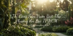 Thi công sân vườn biệt thự ở Phường An Lạc TP.HCM – Đẹp, Sang, Bền Vững