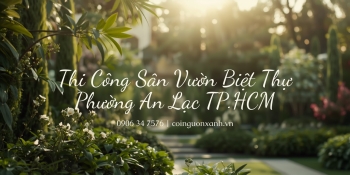 Thi công sân vườn biệt thự ở Phường An Lạc TP.HCM – Đẹp, Sang, Bền Vững