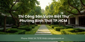 Thi công sân vườn biệt thự ở Phường Bình Thới TP.HCM – Thiết kế đẹp, sang trọng, chuyên nghiệp
