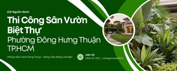 Thi công sân vườn biệt thự ở Phường Đông Hưng Thuận TP.HCM chuyên nghiệp, trọn gói