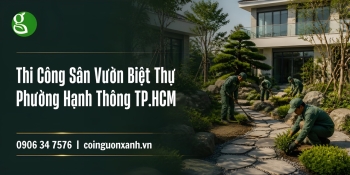 Thi công sân vườn biệt thự ở Phường Hạnh Thông TP.HCM – Đẹp, Sang, Chuẩn Thiết Kế