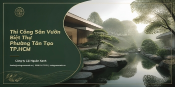 Thi Công Sân Vườn Biệt Thự Ở Phường Tân Tạo TP.HCM Đẹp, Chuyên Nghiệp