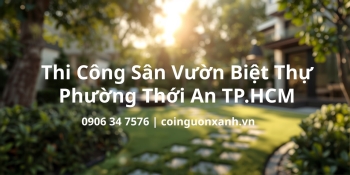 Thi công sân vườn biệt thự ở Phường Thới An TP.HCM chuyên nghiệp, trọn gói