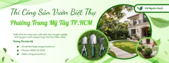 Thi công sân vườn biệt thự ở Phường Trung Mỹ Tây TP.HCM – Kiến tạo không gian sống xanh đẳng cấp