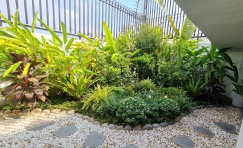 10 Sai Lầm Cần Tránh Khi Thi Công Tiểu Cảnh Sân Vườn