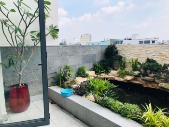 Tiểu Cảnh Sân Vườn Nhật Bản – Vẻ Đẹp Thiền Tịnh Giữa Đời Thường