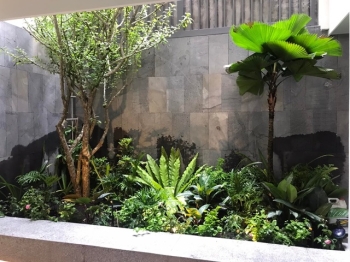 Ý Tưởng Trang Trí Tiểu Cảnh Sân Vườn Cho Không Gian Hẹp