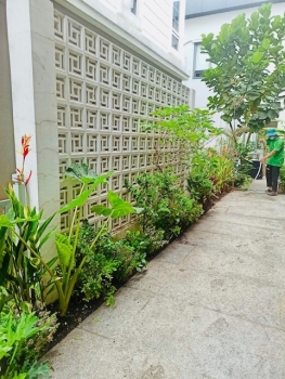 Tiểu Cảnh Sân Vườn Châu Âu – Sự Kết Hợp Giữa Nghệ Thuật Và Thiên Nhiên