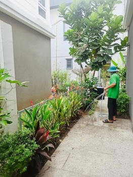 Hướng Dẫn Chăm Sóc Tiểu Cảnh Sân Vườn Để Luôn Xanh Tươi