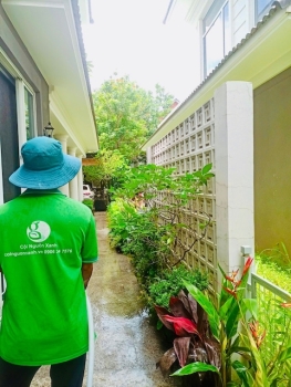 Tưới Nước Đúng Cách Cho Cây Cảnh Sân Vườn – Bí Kíp Không Phải Ai Cũng Biết