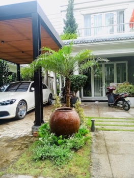 Cội Nguồn Xanh Cải Tạo Sân Vườn Cho Biệt Thự Ở Thủ Đức Sau 3 Năm Sử Dụng