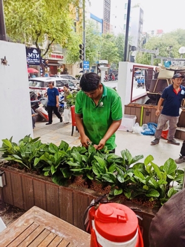 Kinh Nghiệm Chọn Cây Trồng Phù Hợp Cho Tiểu Cảnh Sân Vườn