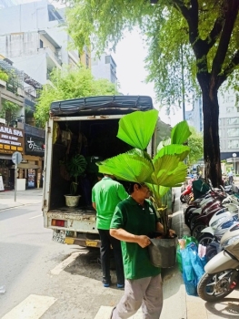 Cho Thuê Cây Xanh Và ESG – Xu Hướng Doanh Nghiệp Bền Vững 2026