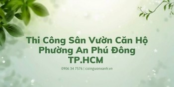 Thi Công Sân Vườn Căn Hộ Phường An Phú Đông TP.HCM Đẹp, Xanh, Tối Ưu Diện Tích