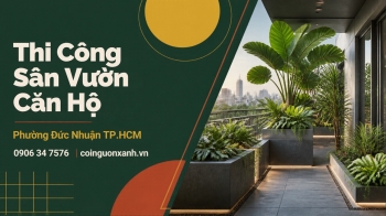 Thi Công Sân Vườn Căn Hộ Ở Phường Đức Nhuận TP.HCM Đẹp, Xanh Mát