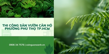 Thi công sân vườn căn hộ ở Phường Phú Thọ TP.HCM – Đẹp, xanh, tối ưu diện tích