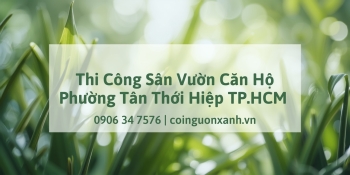 Thi công sân vườn căn hộ tại Phường Tân Thới Hiệp TP.HCM – Không gian xanh hiện đại