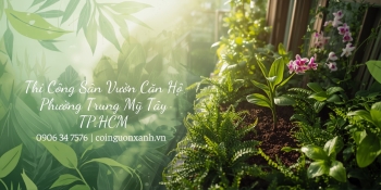 Thi công sân vườn căn hộ ở Phường Trung Mỹ Tây TP.HCM – Không gian xanh hiện đại