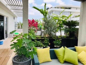 Tiểu Cảnh Sân Vườn Mini Ban Công Chung Cư – Không Gian Xanh Giữa Phố