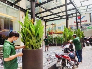 Top 7 Cây Xanh Không Thể Thiếu Trong Tiểu Cảnh Sân Vườn