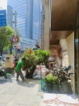 Cội Nguồn Xanh Thi Công Sân Vườn Nhà Hàng Son Tại Phường Sài Gòn TP.HCM