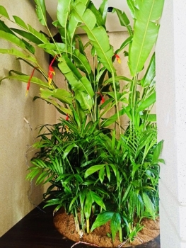 Cội Nguồn Xanh Thi Công Sân Vườn Nhà Hàng Son Tại Phường Sài Gòn TP.HCM