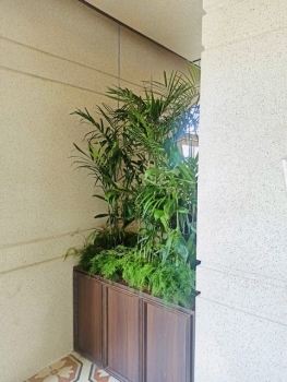 Cội Nguồn Xanh Thi Công Sân Vườn Nhà Hàng Son Tại Phường Sài Gòn TP.HCM