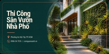 Thi Công Sân Vườn Nhà Phố Ở Phường An Hội Tây TP.HCM – Đẹp, Xanh, Tối Ưu Diện Tích