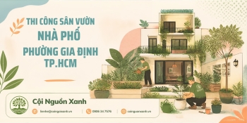 Thi Công Sân Vườn Nhà Phố Ở Phường Gia Định TP.HCM