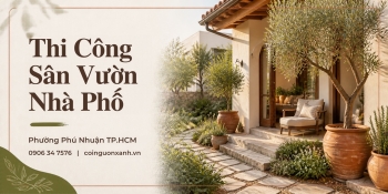 Thi Công Sân Vườn Nhà Phố Ở Phường Phú Nhuận TP.HCM Đẹp, Hiện Đại