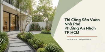 Thi Công Sân Vườn Nhà Phố Ở Phường An Nhơn TP.HCM Đẹp, Xanh, Bền